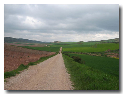 Paisaje Hoces del Cabriel