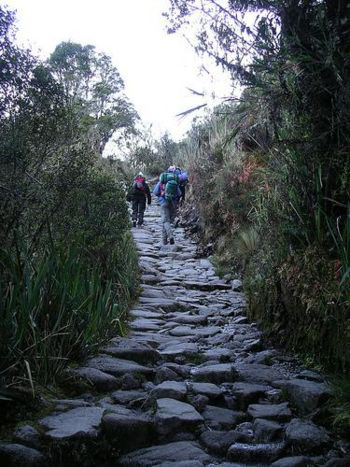 Paisaje Hoces del Cabriel