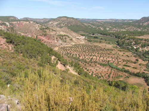 Paisaje Hoces del Cabriel