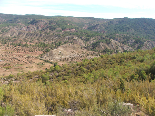 Paisaje Hoces del Cabriel