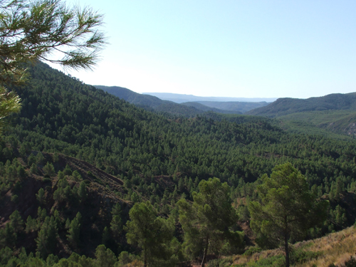 Paisaje Hoces del Cabriel