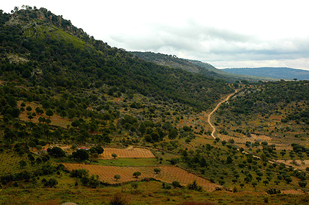 Paisaje Hoces del Cabriel