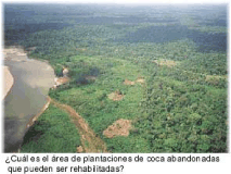 ¿Cuál es el área de plantaciones de coca abandonadas que pueden ser rehabilitadas?