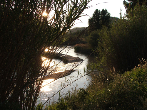 El río de Casas del Río